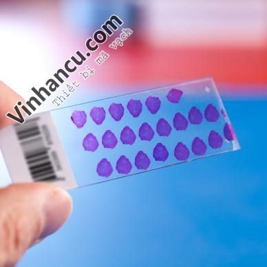 Giá AXR 600 SUPER PREMIUM RESIN khổ chuẩn 6 axr 600 super premium resin
